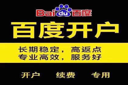 实战经验：竞价推广案例解析与优化策略分享
